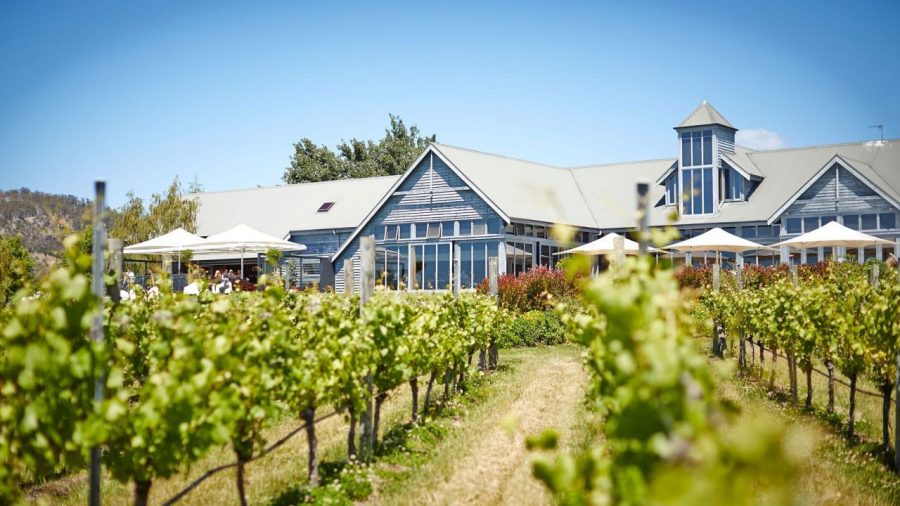 A Weekend In Tasmania would not be complete without a visit to Visit Frogmore Creek Vinyard