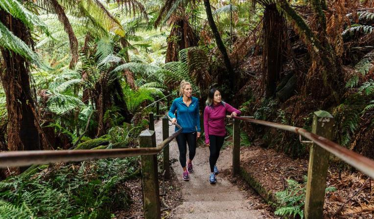 Hikes near Melbourne 1000 steps walk