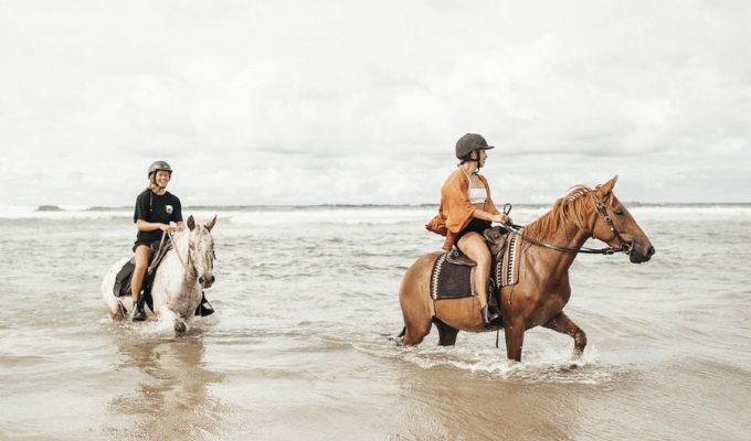 Zephr Horses in Byron Bay is one of the fun date ideas you may not have thought of