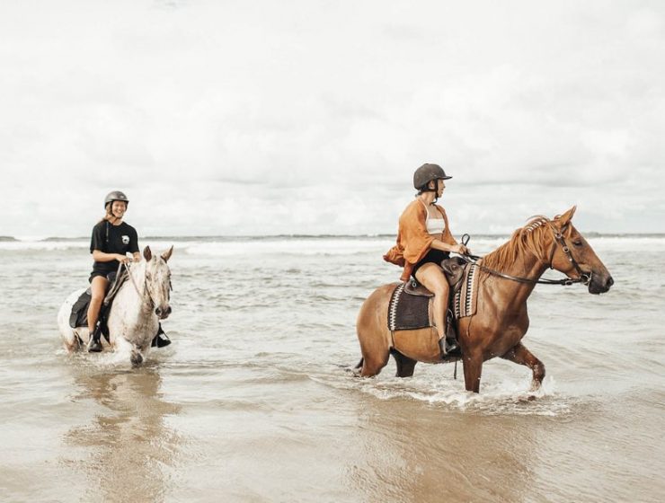 Zephr Horses in Byron Bay is one of the fun date ideas you may not have thought of