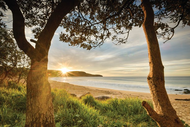 Best NSW camp sites: Putty Beach campground.